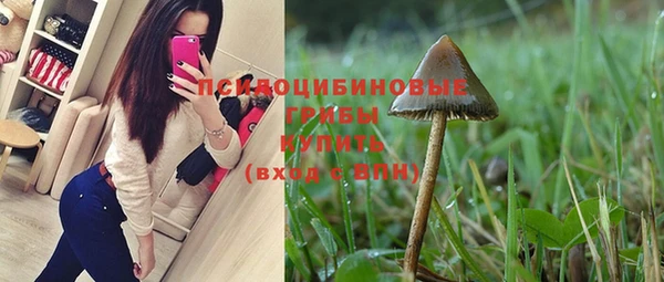 Альфа ПВП Алексин